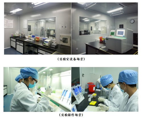 廣州高科技高成長(zhǎng)20強(qiáng)企業(yè)風(fēng)采 網(wǎng)絡(luò)技術(shù)研發(fā)與技術(shù)服務(wù)的領(lǐng)航者