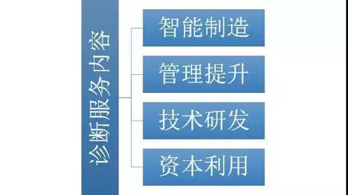 我市啟動(dòng)倍增企業(yè)全方位全流程診斷服務(wù)，助力網(wǎng)絡(luò)技術(shù)研發(fā)及技術(shù)服務(wù)企業(yè)高質(zhì)量發(fā)展